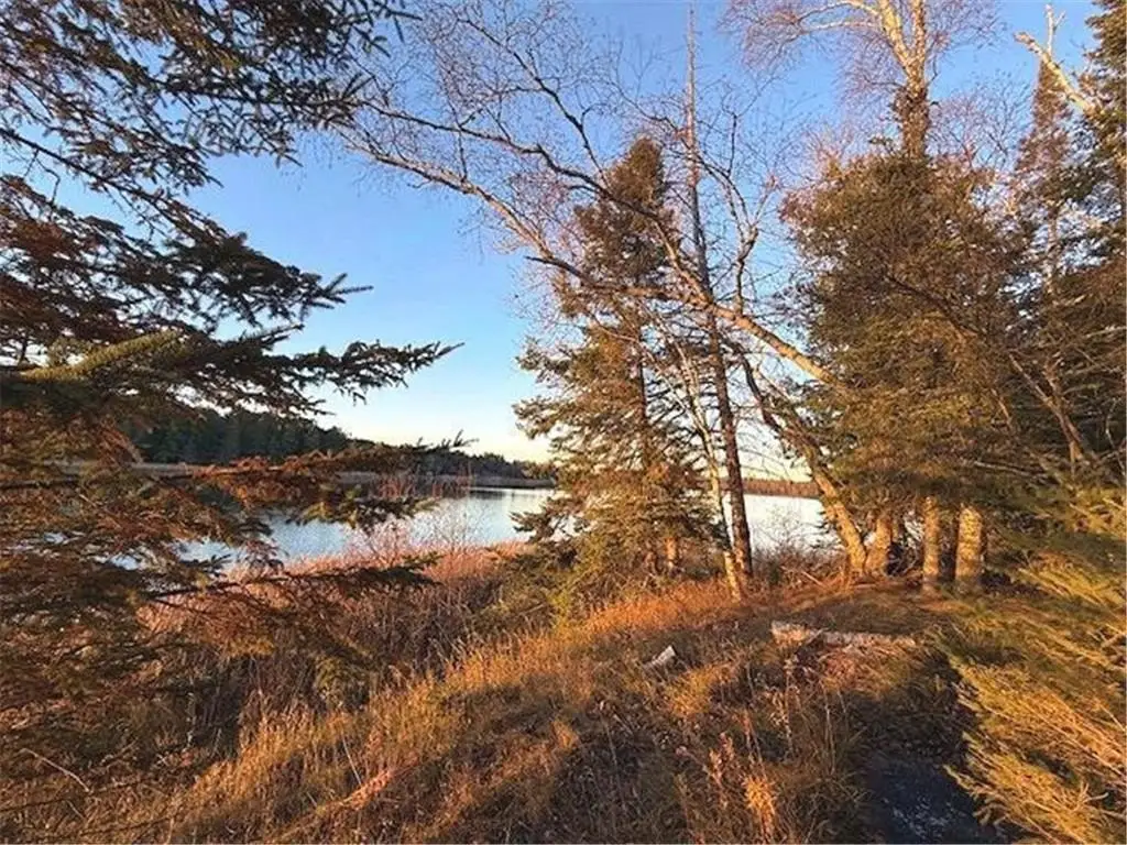 Picture 20
