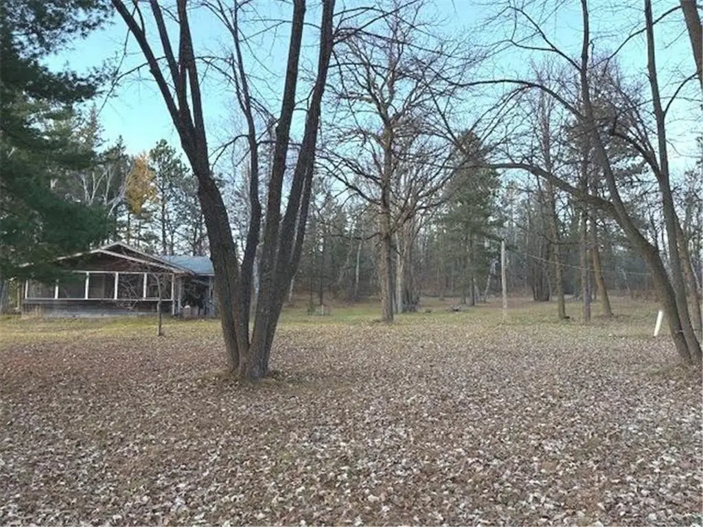 Picture 44