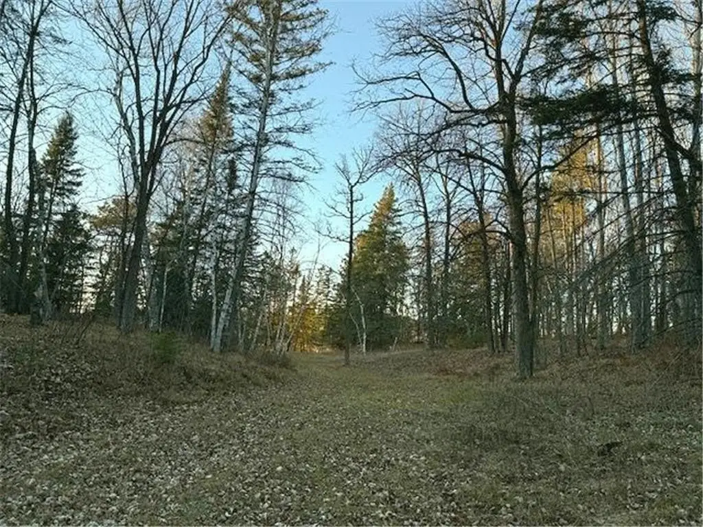 Picture 8