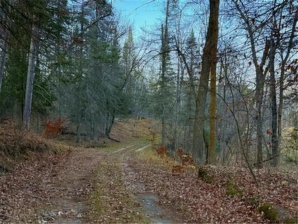 Picture 46
