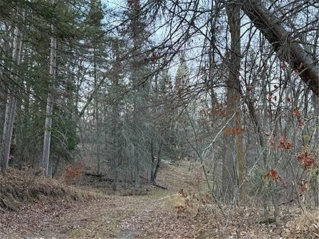 Picture 52