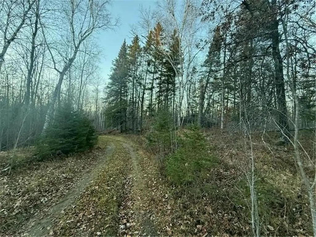 Picture 54
