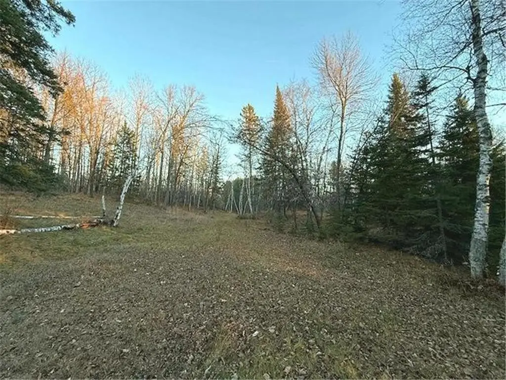 Picture 37