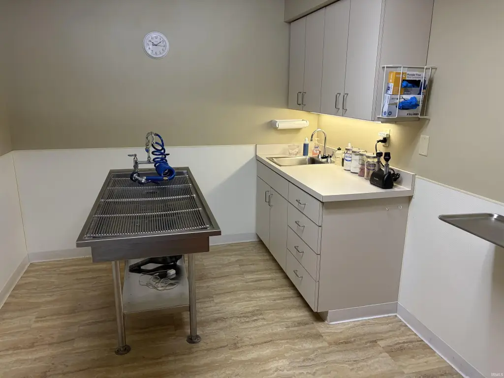Picture 19