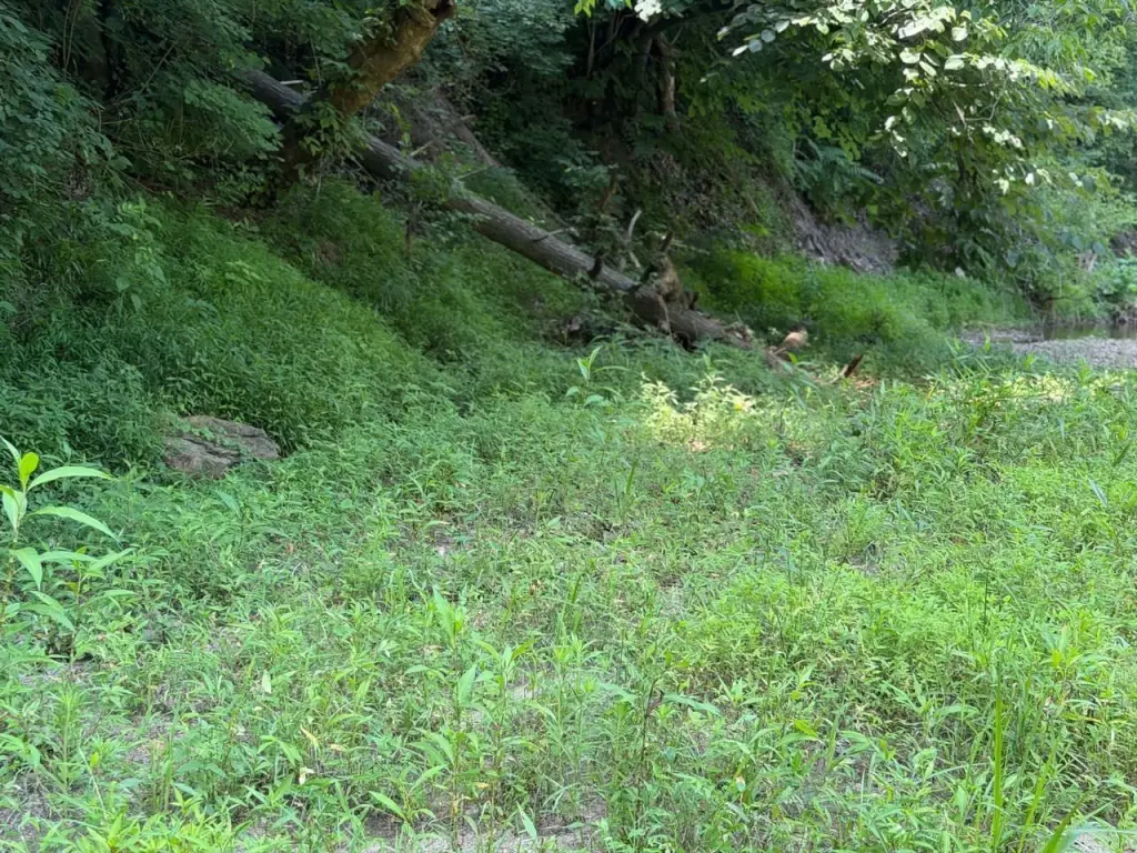 Picture 2