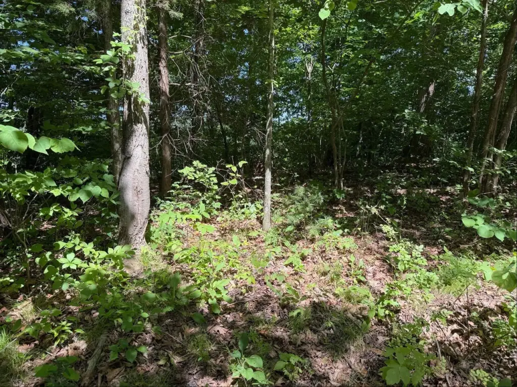 Picture 9