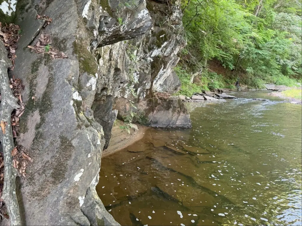Picture 16