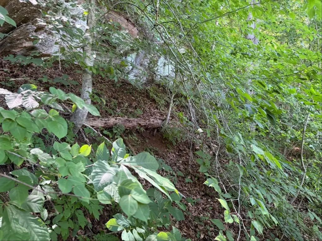 Picture 29