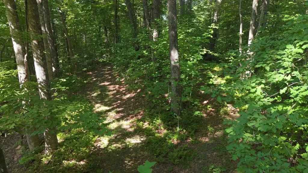Picture 15
