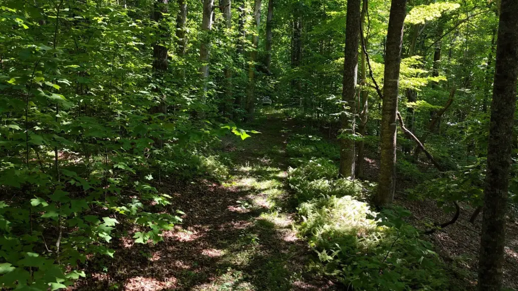 Picture 16