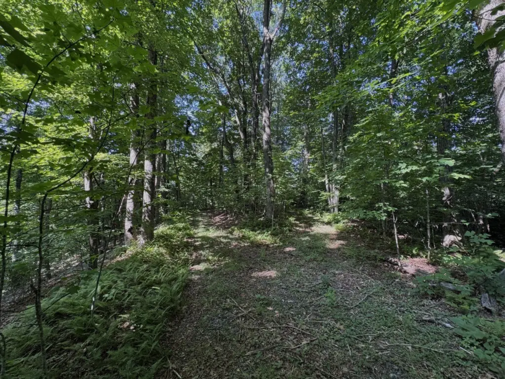 Picture 6