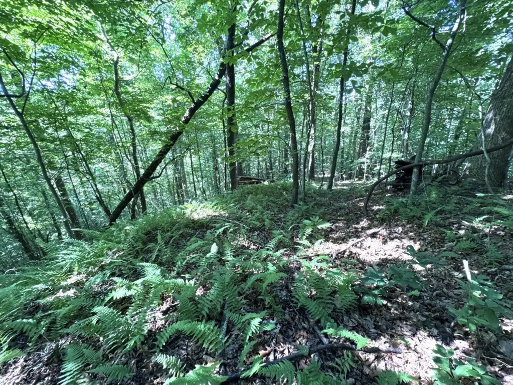 Picture 18