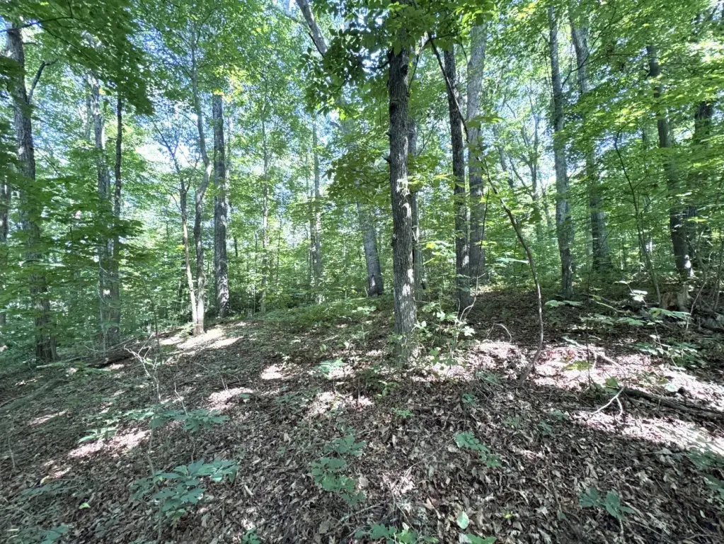 Picture 7