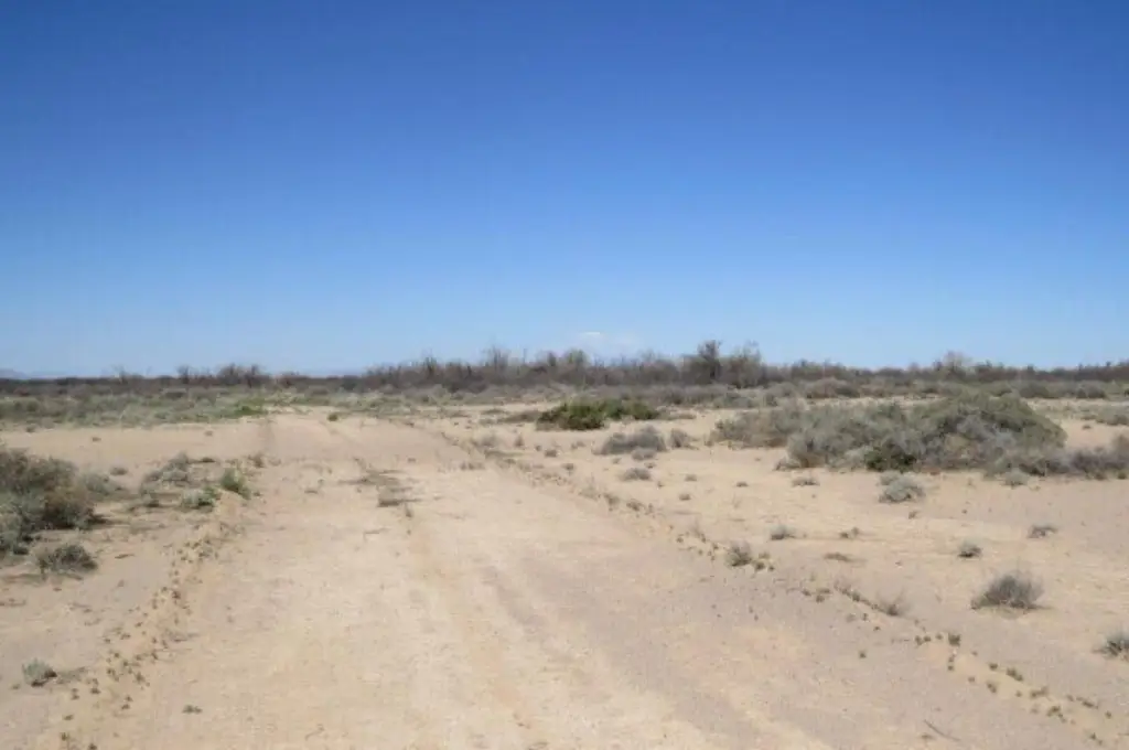 Picture 6