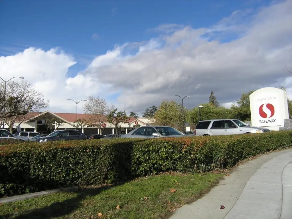 Picture 23