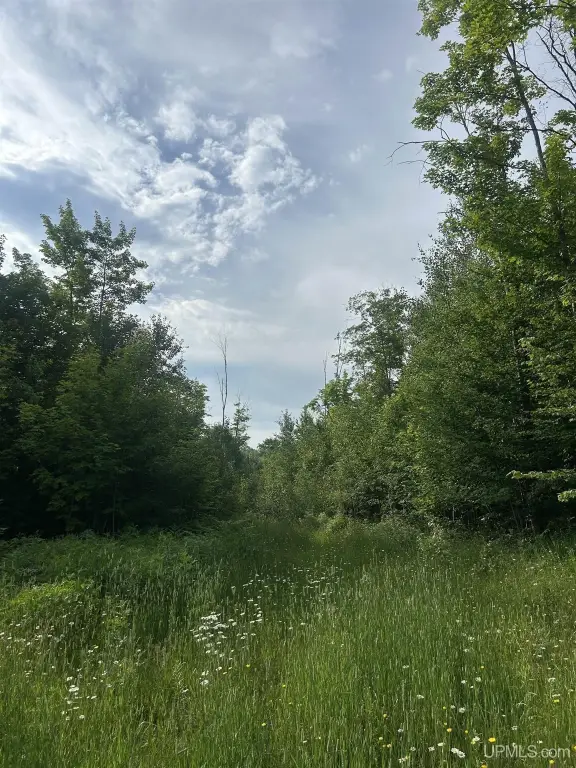 Picture 22