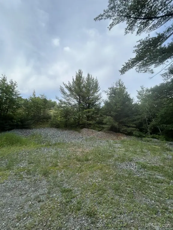 Picture 8