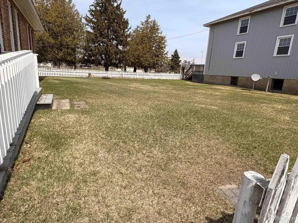 Picture 29