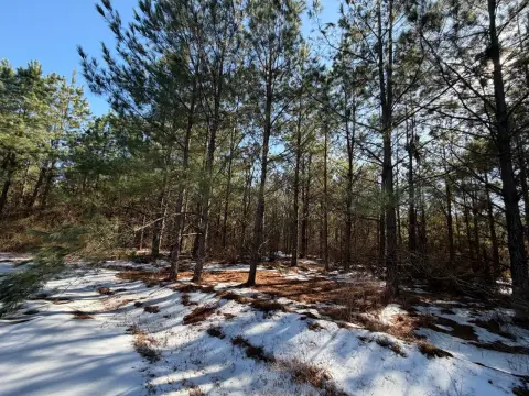 Wooded Homesite in Broken Bow