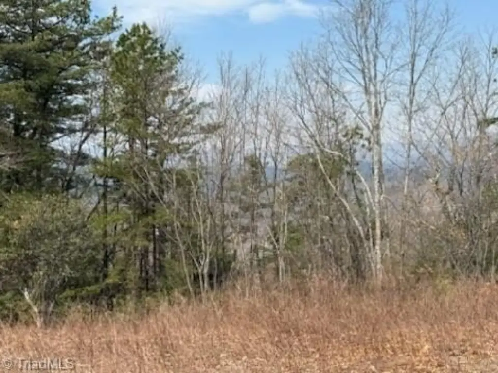 Picture 29