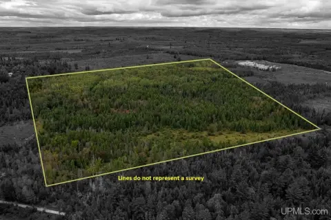 Perronville Vacant Land with Privacy