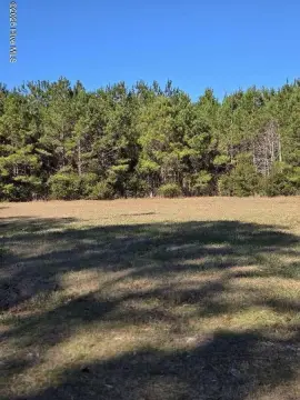 Beaufort, NC Wooded Acreage