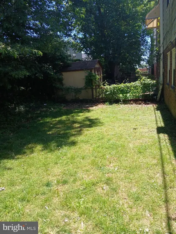 Picture 3