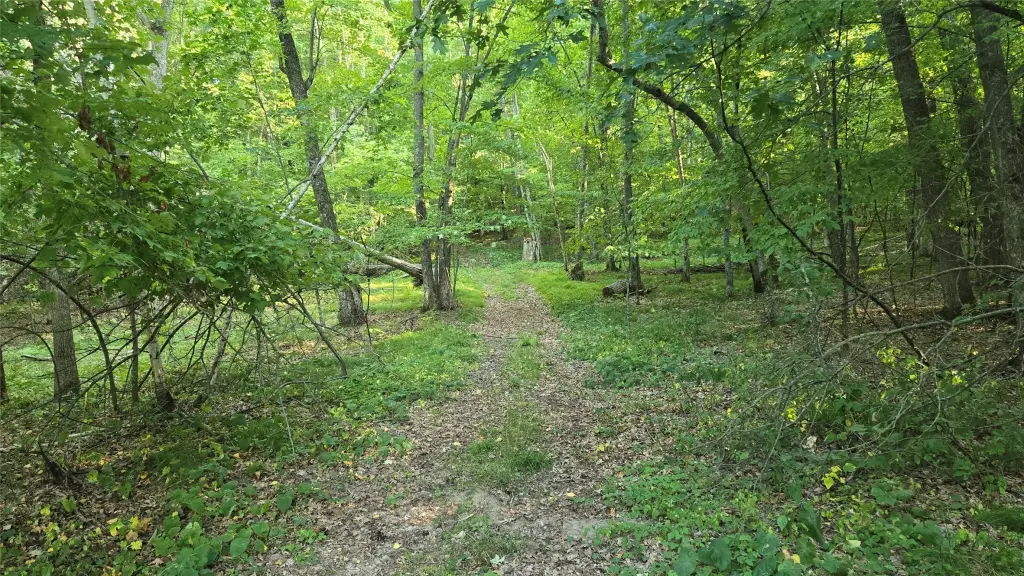 Picture 2