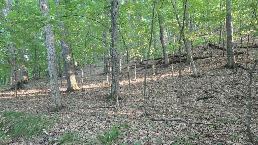 Picture 11