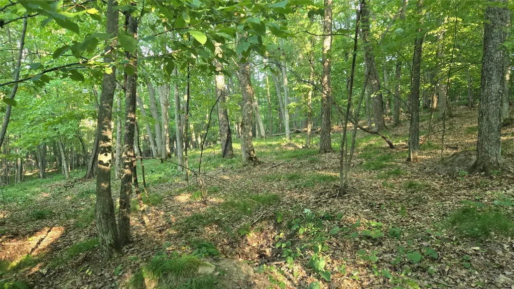 Picture 3