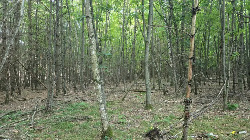 Picture 22