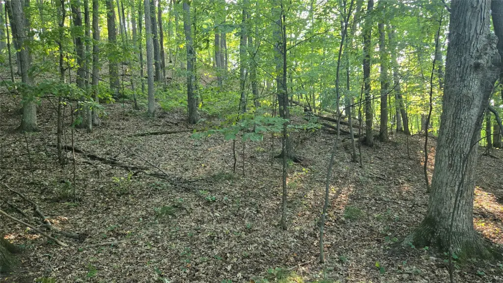 Picture 14