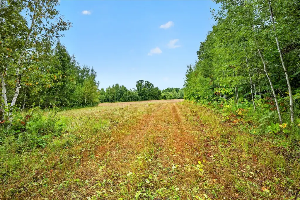 Picture 11