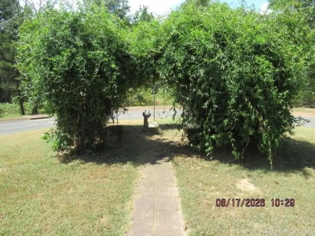 Picture 10