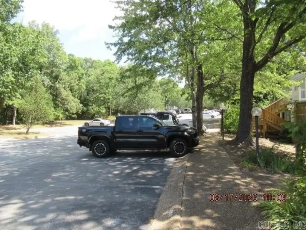 Picture 8