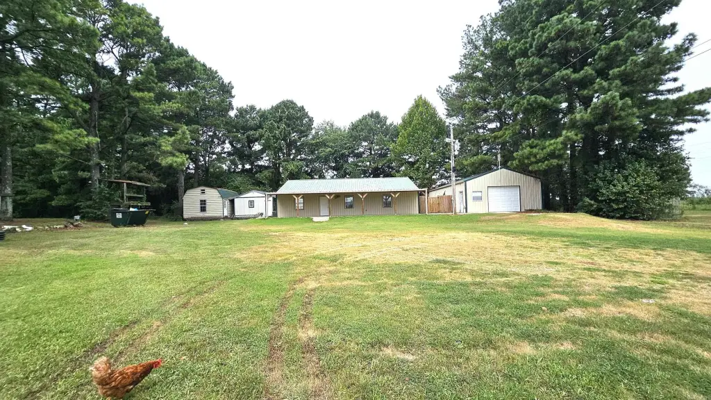 Picture 25