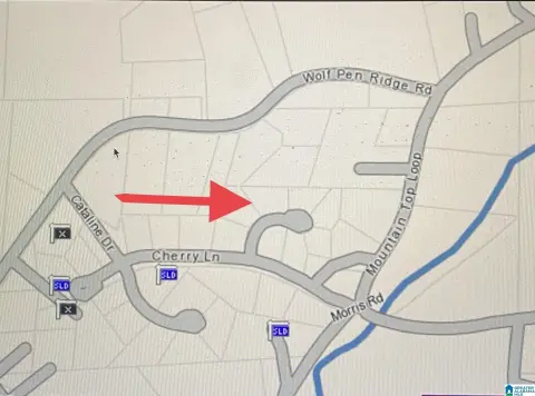 Pell City Land Opportunity