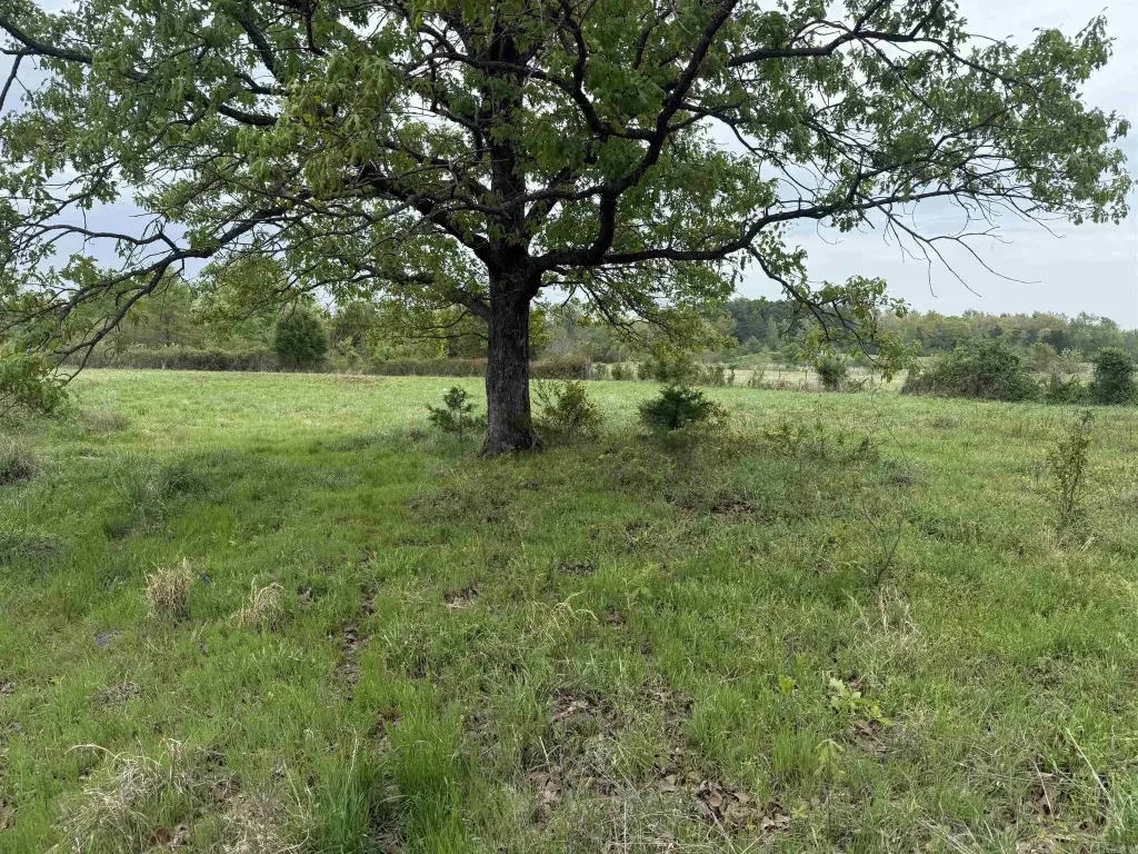 Picture 28