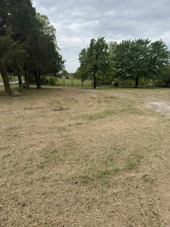 Picture 23