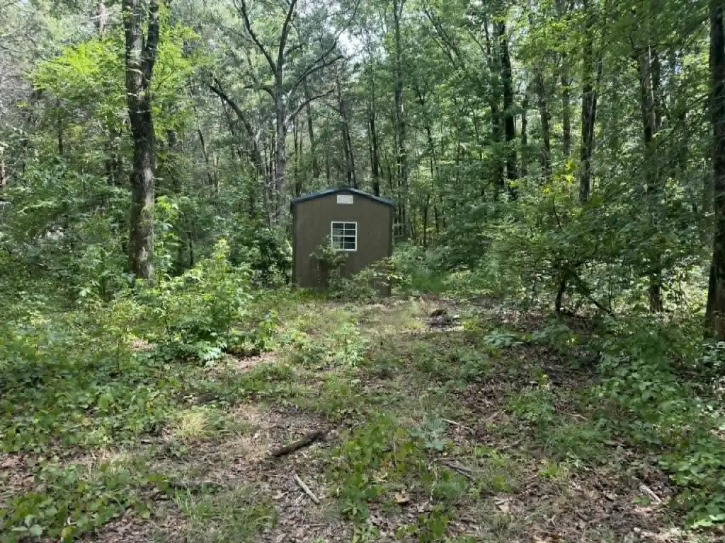 Picture 6