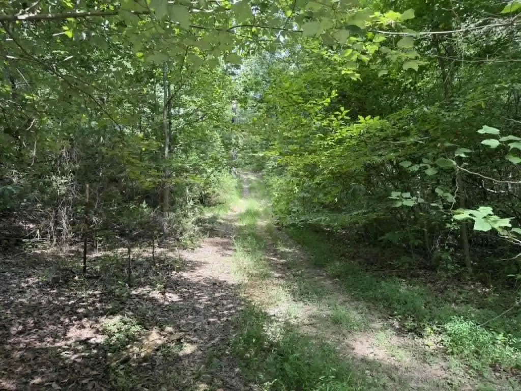 Picture 4