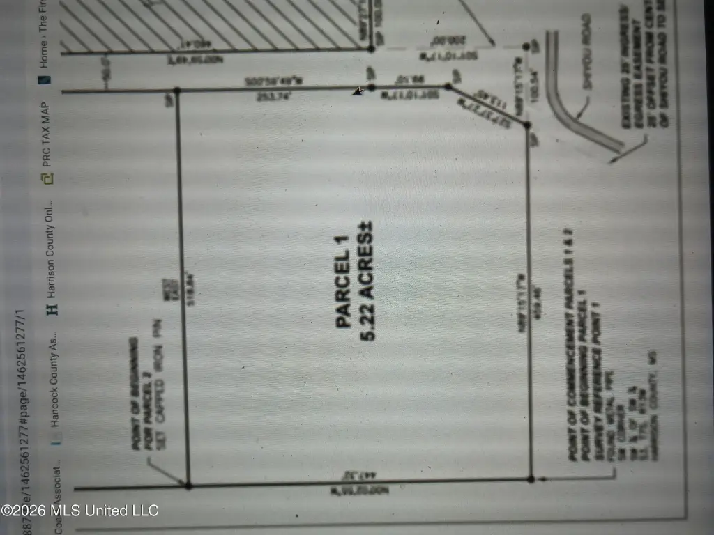 Picture 4