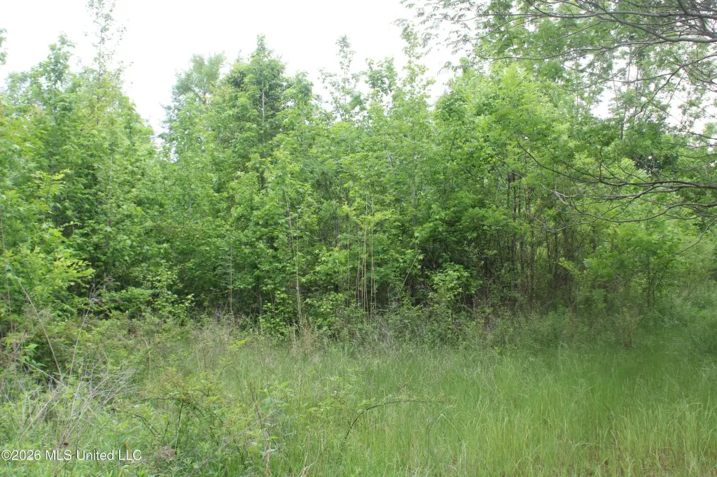 Picture 12