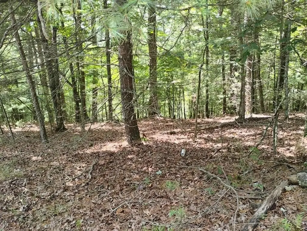 Picture 2