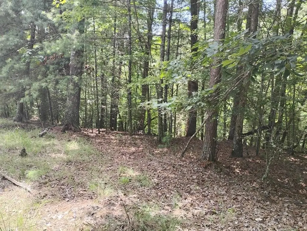 Picture 3