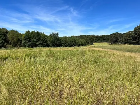 Undeveloped Acreage with Varied Terrain