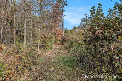 Ionia Land with Creek Access