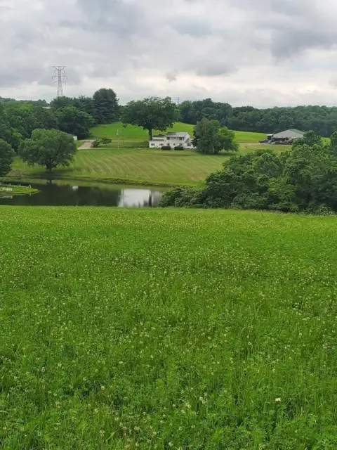 Versatile Farm Estate with Commercial Potential