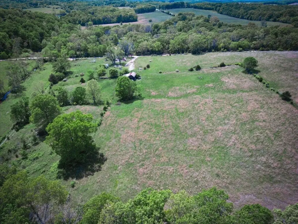 Picture 12