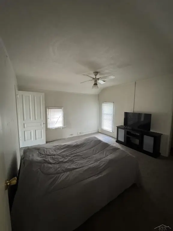 Picture 17